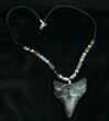 Megalodon Tooth Necklace - tooth #6317-1